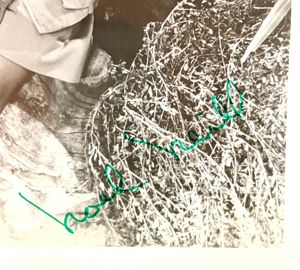 Noel Neill — NOEL NEILL SIGNED AUTOGRAPHED 8X10 PHOTO SUPERMAN SKY DRAGON PSA COA, image 2