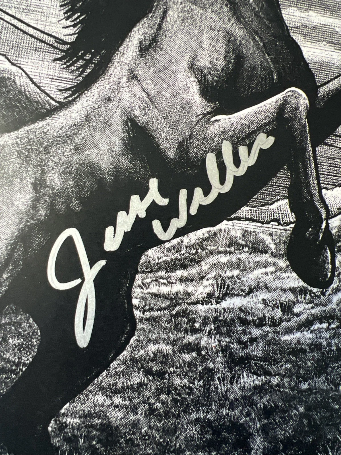 Jesse Welles Signed 2026 Tour Poster JSA Coa Autographed The UC Theatre Berkeley, image 2