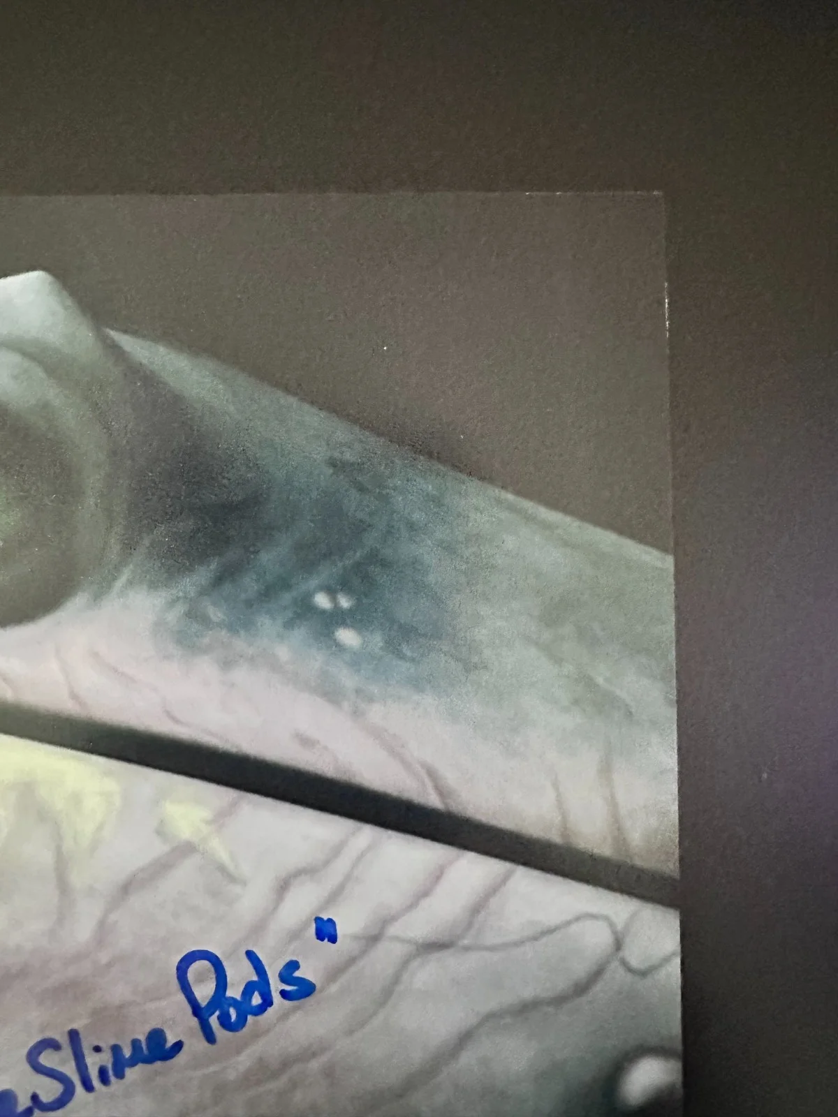 Angelique Perrin — Angelique Perrin Signed 8x10 Star Wars: The Clone Wars Mama the Hutt Autograph, изображение 3