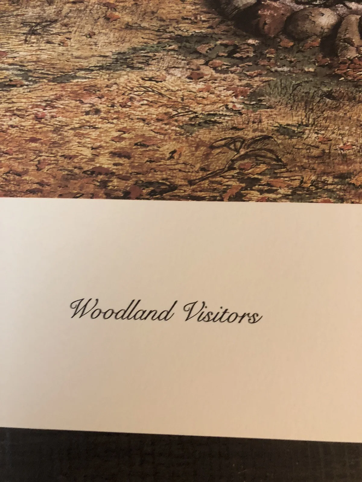 Jimmy Buffett Signed 15x23 Walden Woods Litho 275/2500(JSA), изображение 3