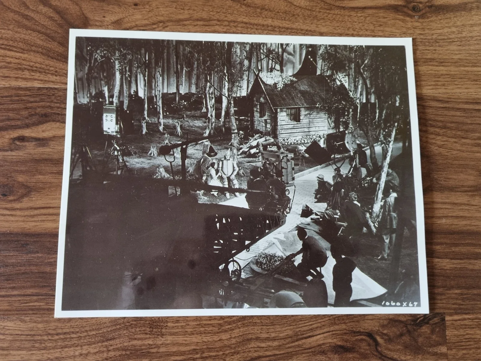 Set Of Five 'Wizard Of Oz' Movie Stills, Black & White Photos, изображение 5