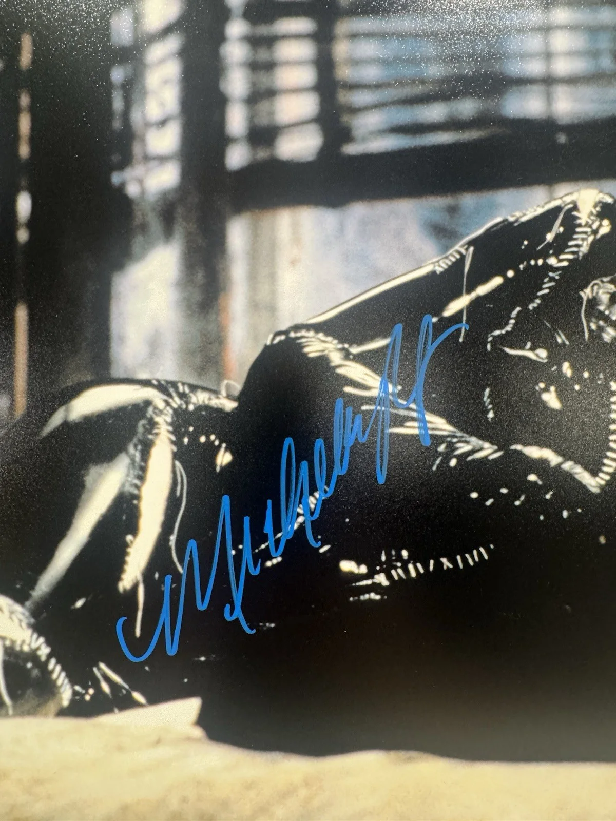 MICHELLE PFEIFFER SIGNED 16X20 CATWOMAN PHOTO AUTO BATMAN RETURNS BECKETT COA, изображение 2