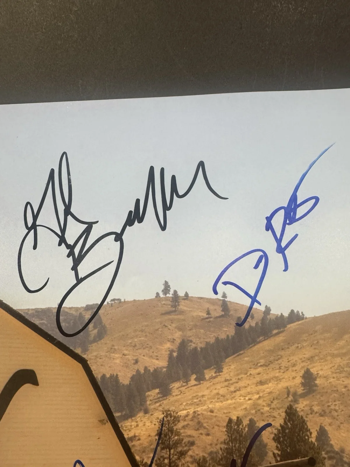 COLE HAUSER KELLY REILLY +8 YELLOWSTONE CAST SIGNED 16X20 PHOTO AUTO BECKETT COA, изображение 4
