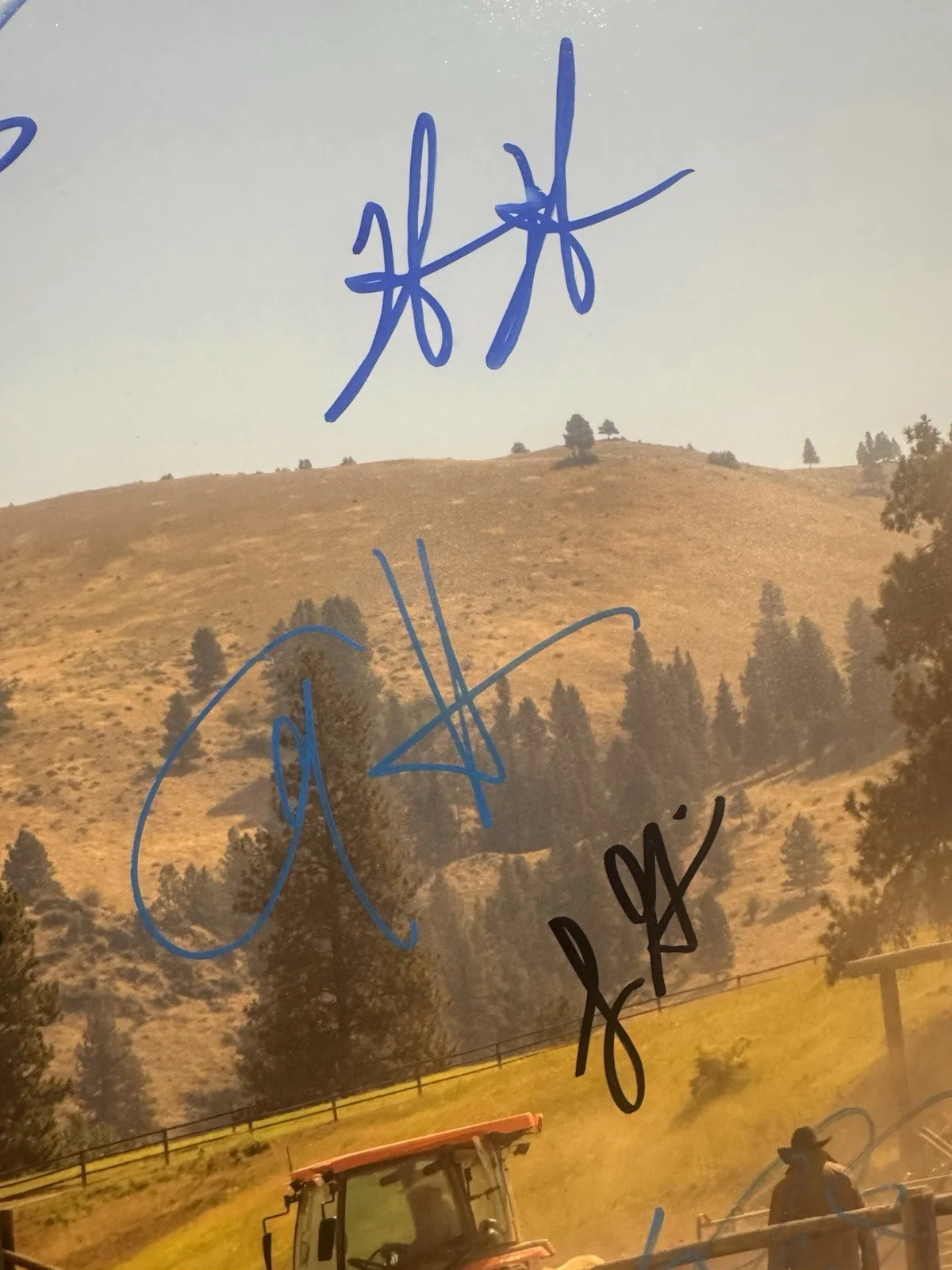 COLE HAUSER KELLY REILLY +8 YELLOWSTONE CAST SIGNED 16X20 PHOTO AUTO BECKETT COA, изображение 5