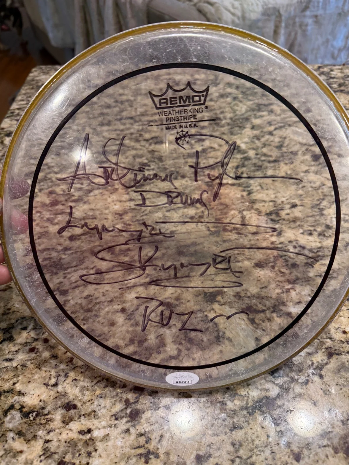 Autographed Artimus Pyle 10 inch Remo Drumhead JSA Signed Lynyrd Skynyrd, изображение 2