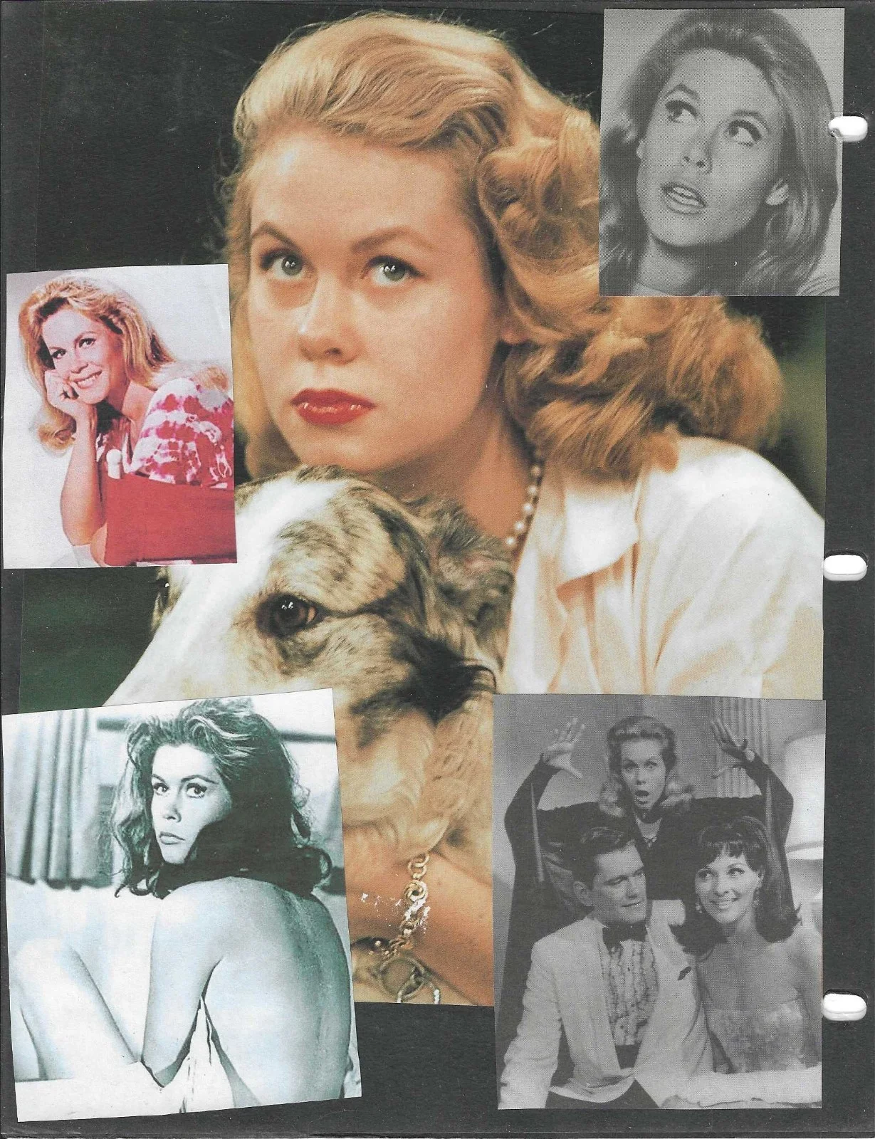ELIZABETH MONTGOMERY — ELIZABETH MONTGOMERY HAND SIGNED CHECK "BEWITCHED" SAMANTHA STEVENS, image 4