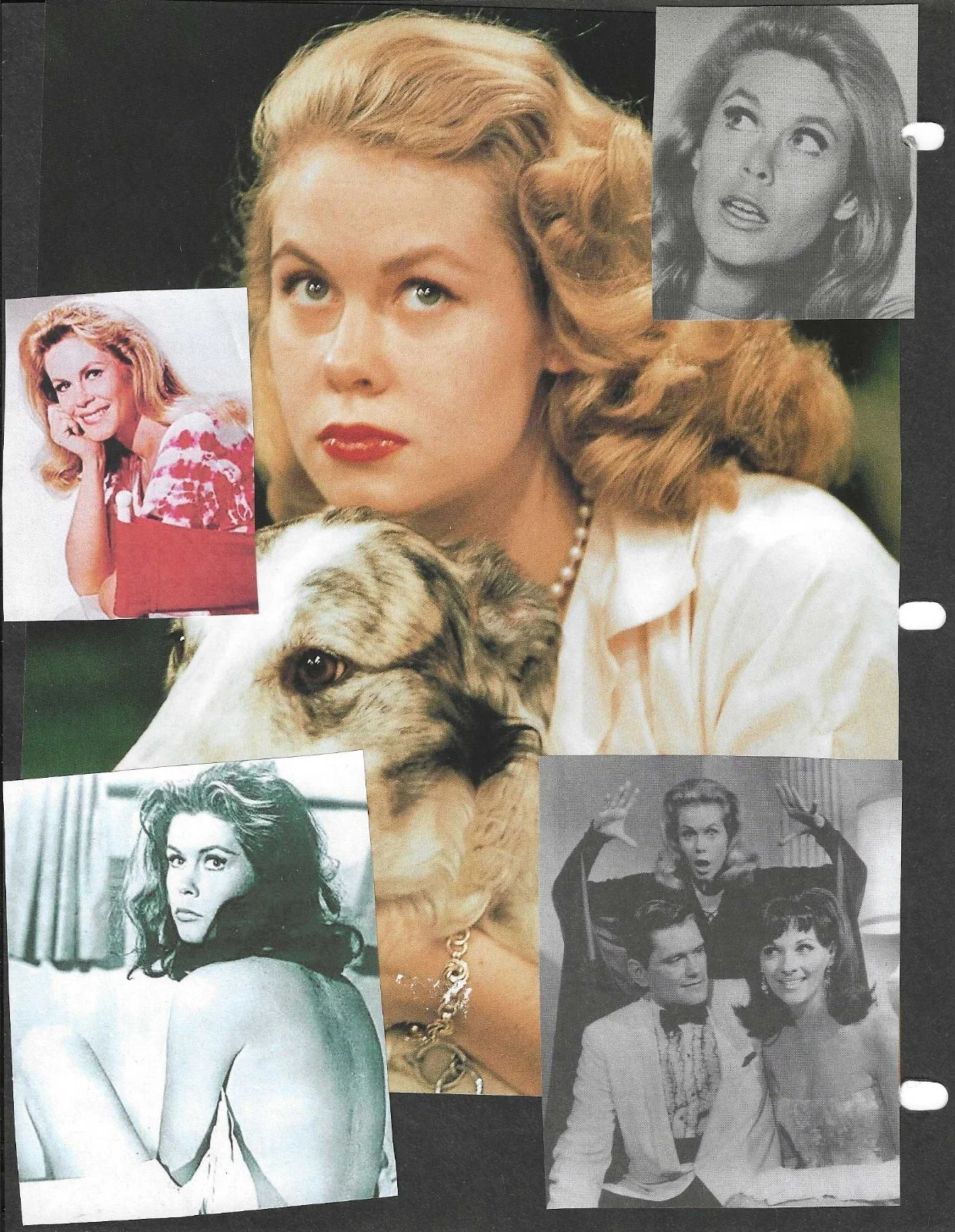 ELIZABETH MONTGOMERY — ELIZABETH MONTGOMERY HAND SIGNED CHECK "BEWITCHED" SAMANTHA STEVENS, image 5
