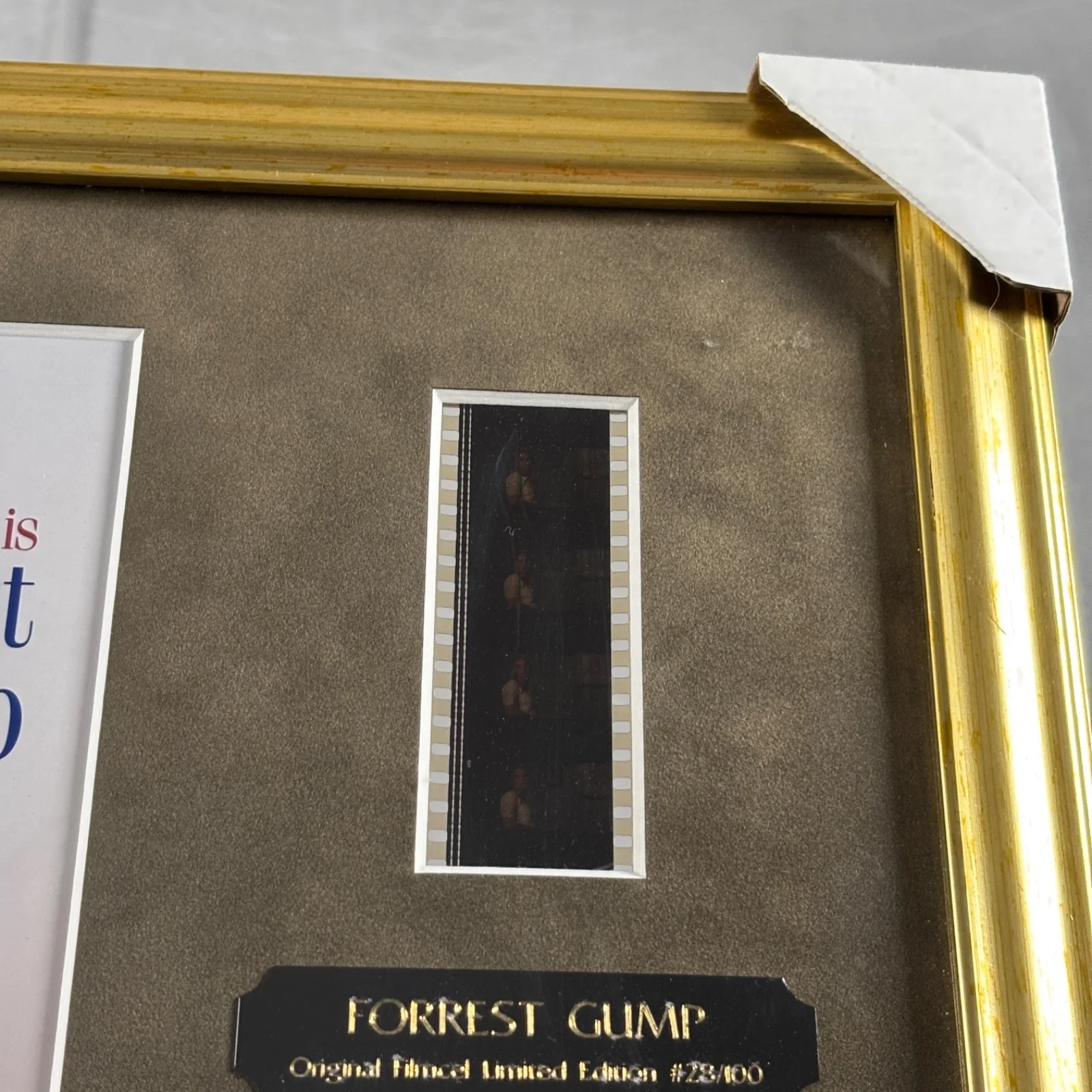 Forrest Gump Filmcell Limited Edition Framed Movie Memorabilia #28/100, изображение 4
