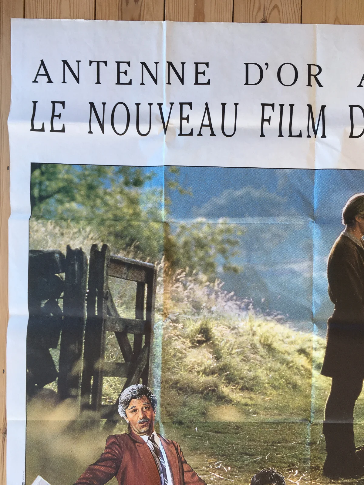 Princess Bride French Film poster 47"x63" OWNED by Cary Elwes Mum: Tessa Kennedy, изображение 3