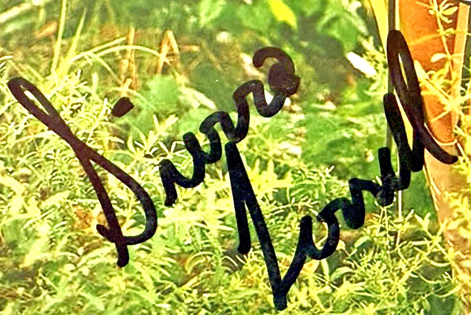 Sierra Ferrell Signed 8x10 Photo JSA Authenticated Auto Americana Country Singer, изображение 4