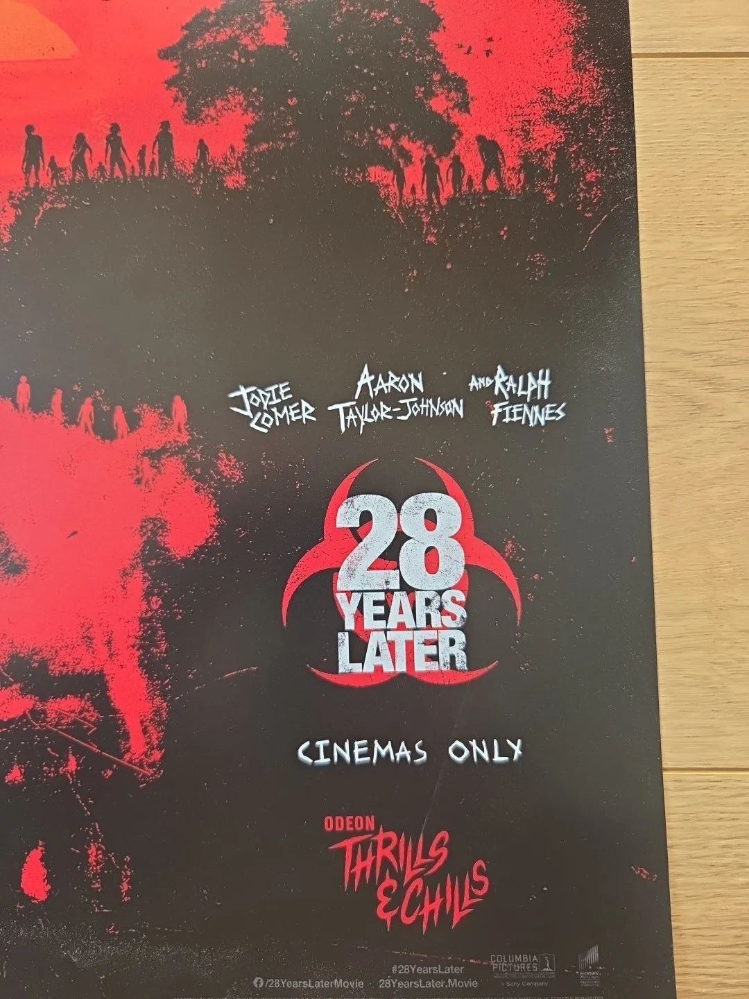 Rare 28 YEARS LATER A3 movie poster, изображение 2