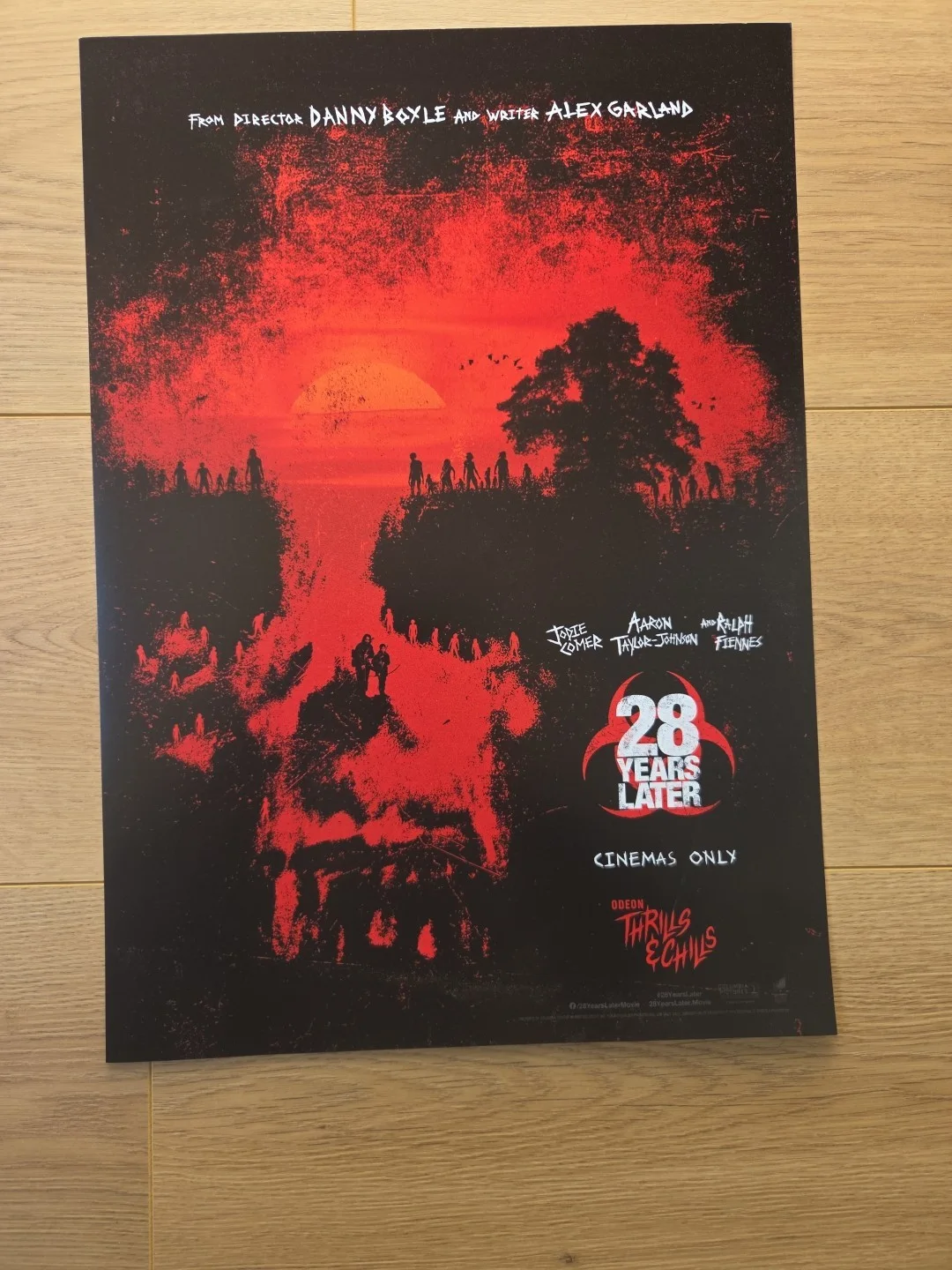 Rare 28 YEARS LATER A3 movie poster, изображение 3