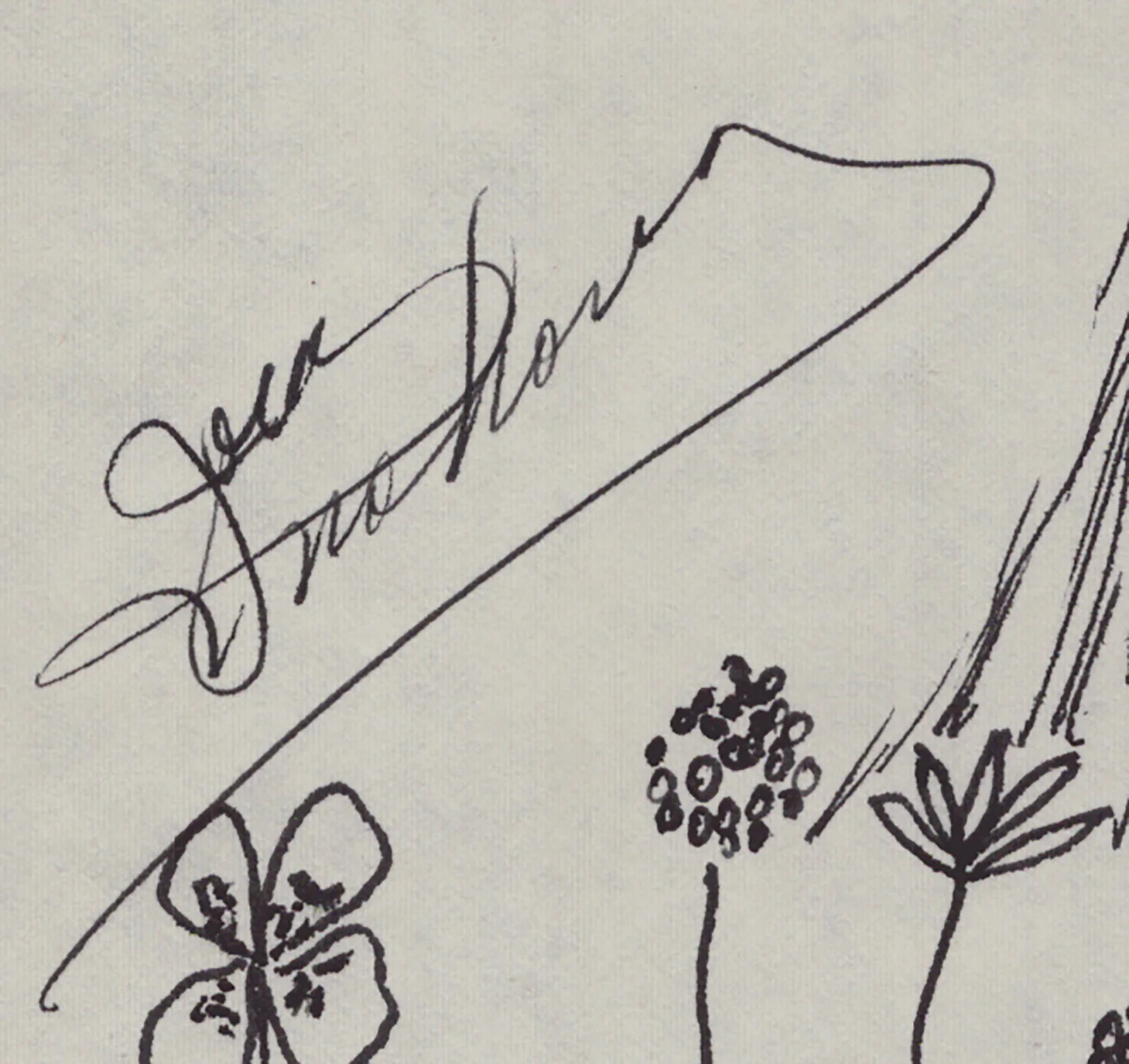 Jock Mahoney — JOCK MAHONEY - ORIGINAL ART SIGNED, image 2