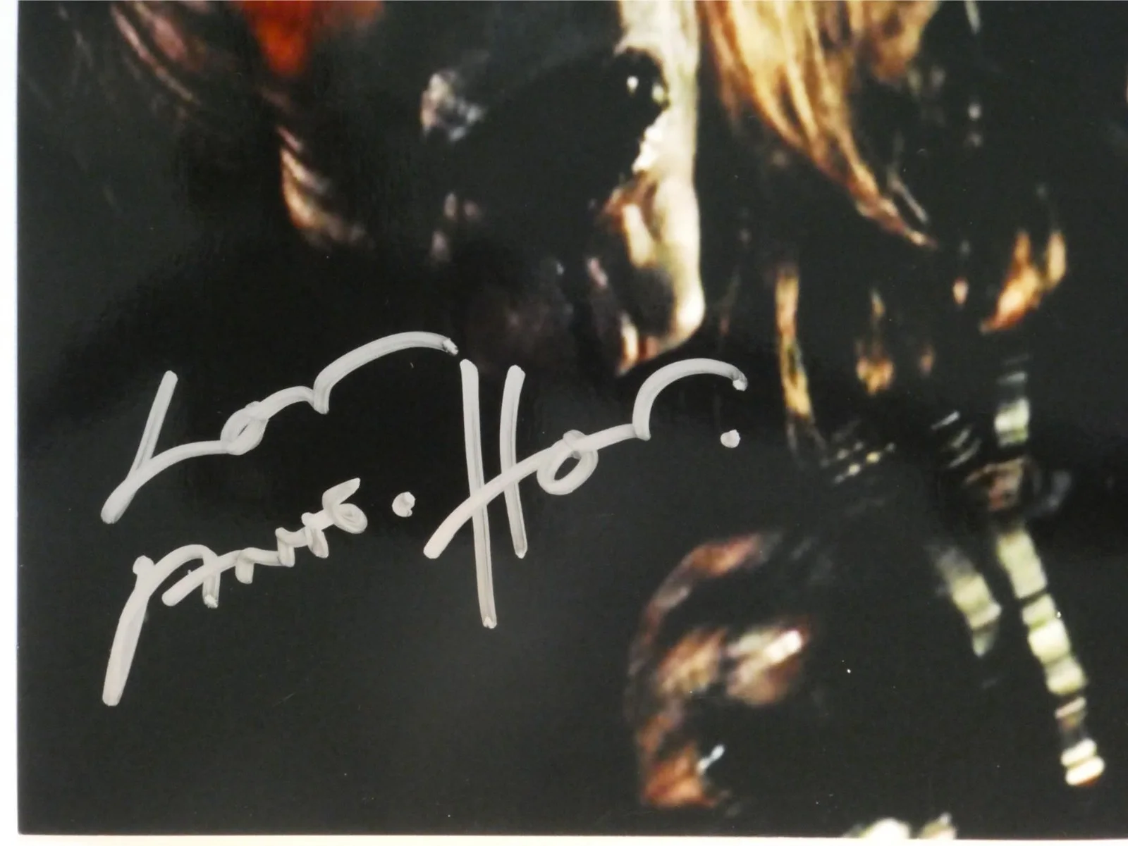 Anders Hove — Anders Hove Signed 8x10 Photo Autographed Subspecies, image 2