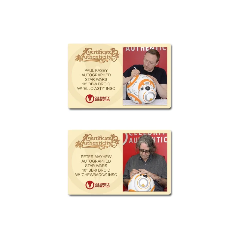 Mark Hamill, Daisy Ridley — Star Wars The Force Awakens Cast Autographed 18″ BB-8 Droid * 20 Autos!, image 5