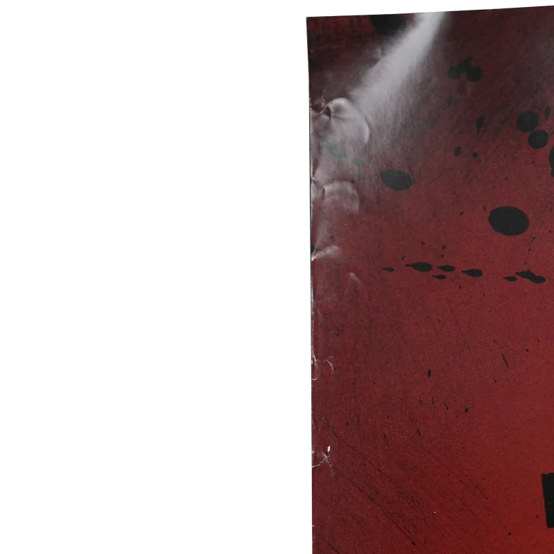 Rhona Mitra — Rhona Mitra Autographed 2008 Doomsday Original 27x40 D/S Movie Poster, изображение 5