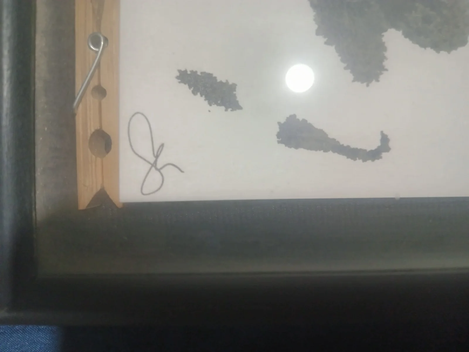 Tegan and Sara Autographed Ink Blot 8x10, image 3