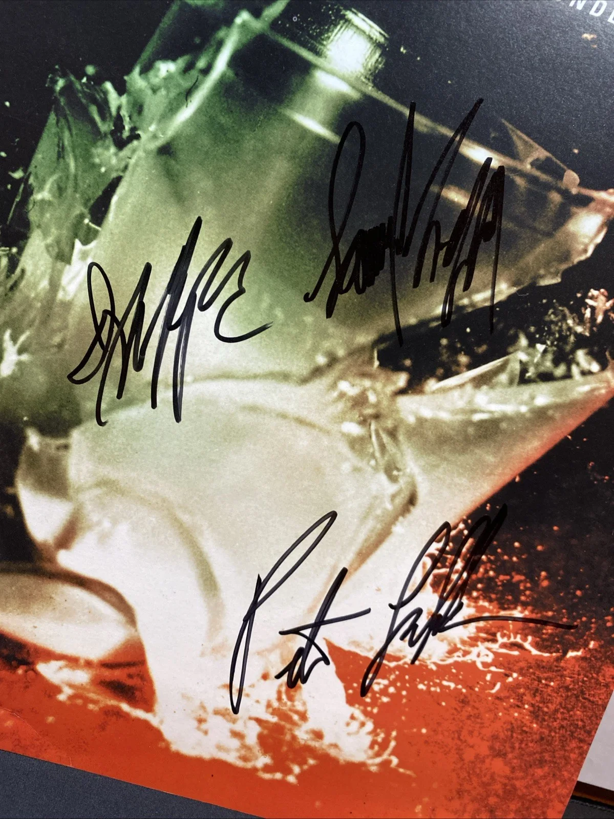 Chevelle Signed Wonder What’s Next Autographed Promo Poster 12” X 12”, изображение 2