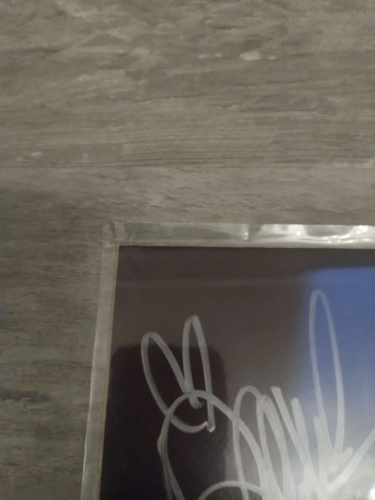 Danielle Harris — Danielle Harris Halloween Autographed 8x10 Beckett Certified, image 5