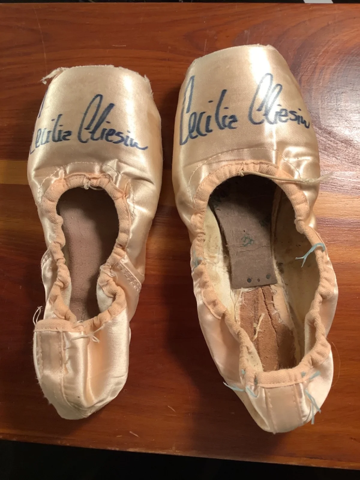 Pacific NW Ballet ballerina dancer signed ballet point shoes Cecilia Iliesiu, image 3