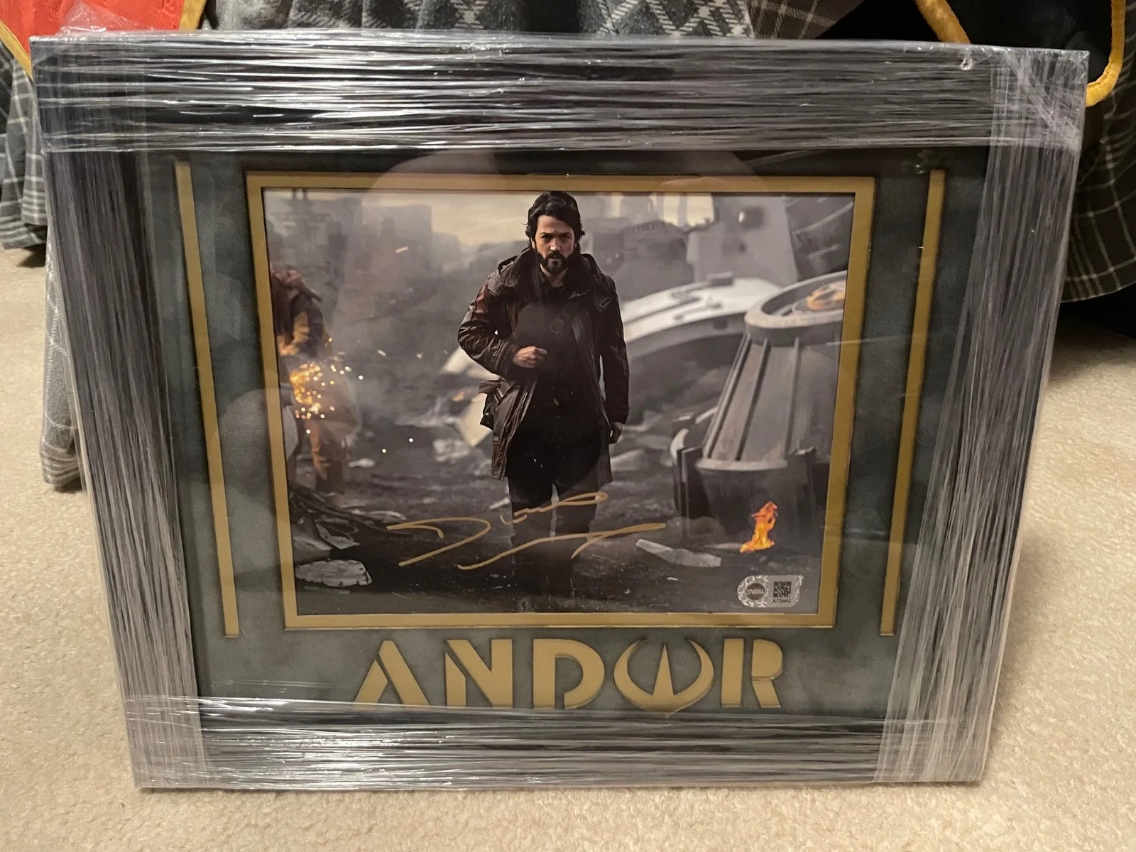 Diego Luna — diego luna 8x10 auto ANDOR SWAU certified black suede and gold trim frame