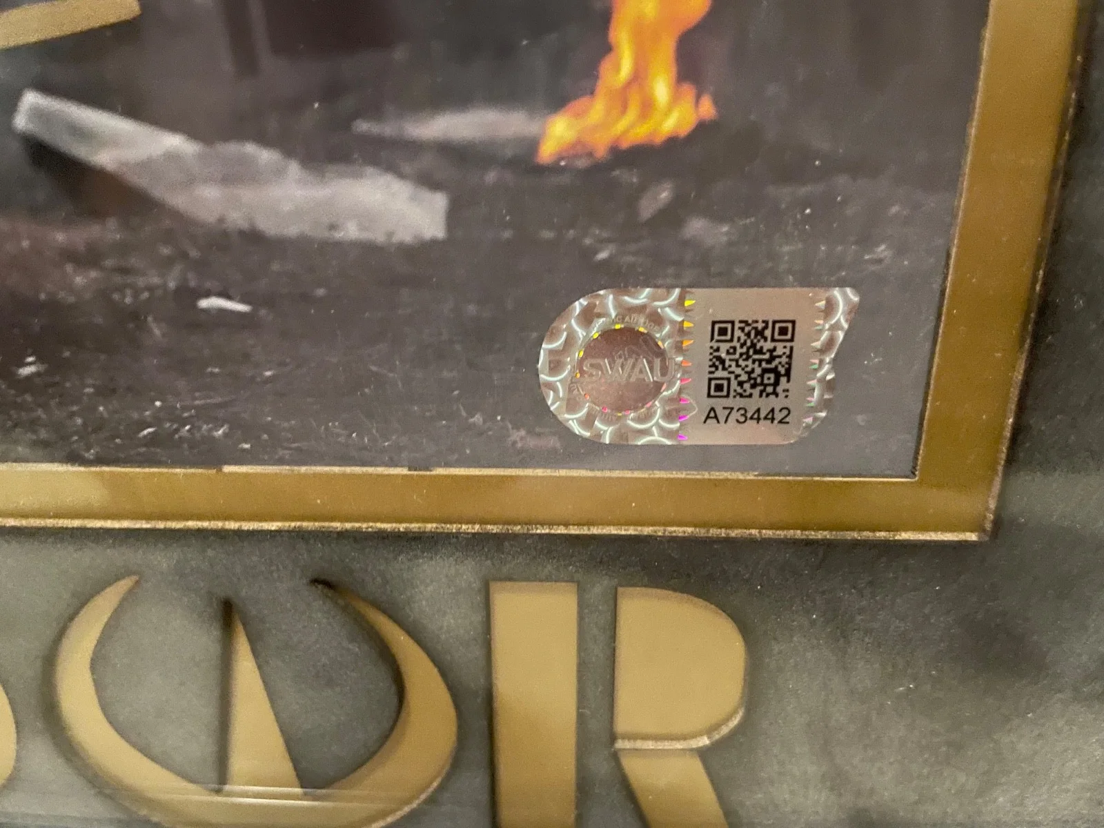 Diego Luna — diego luna 8x10 auto ANDOR SWAU certified black suede and gold trim frame, изображение 3