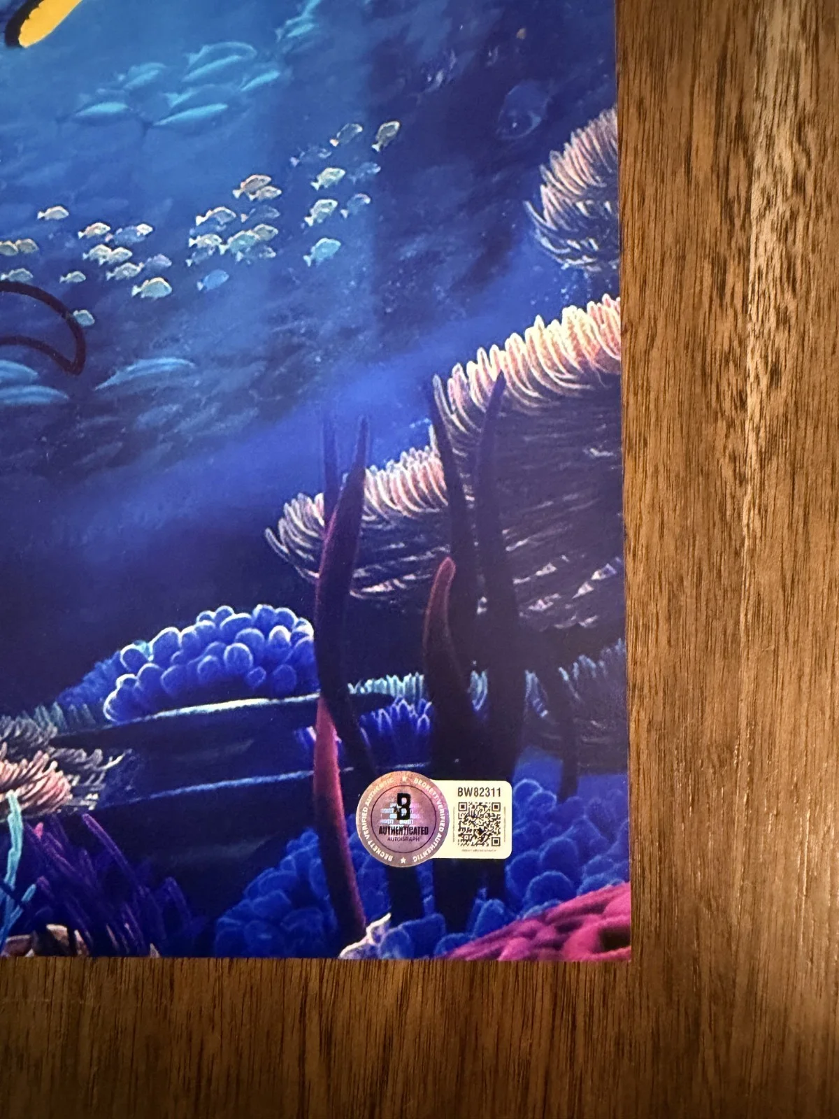 Andrew Stanton ‘Finding Dory’ Movie Director Signed 12x18 Photo Beckett, image 2