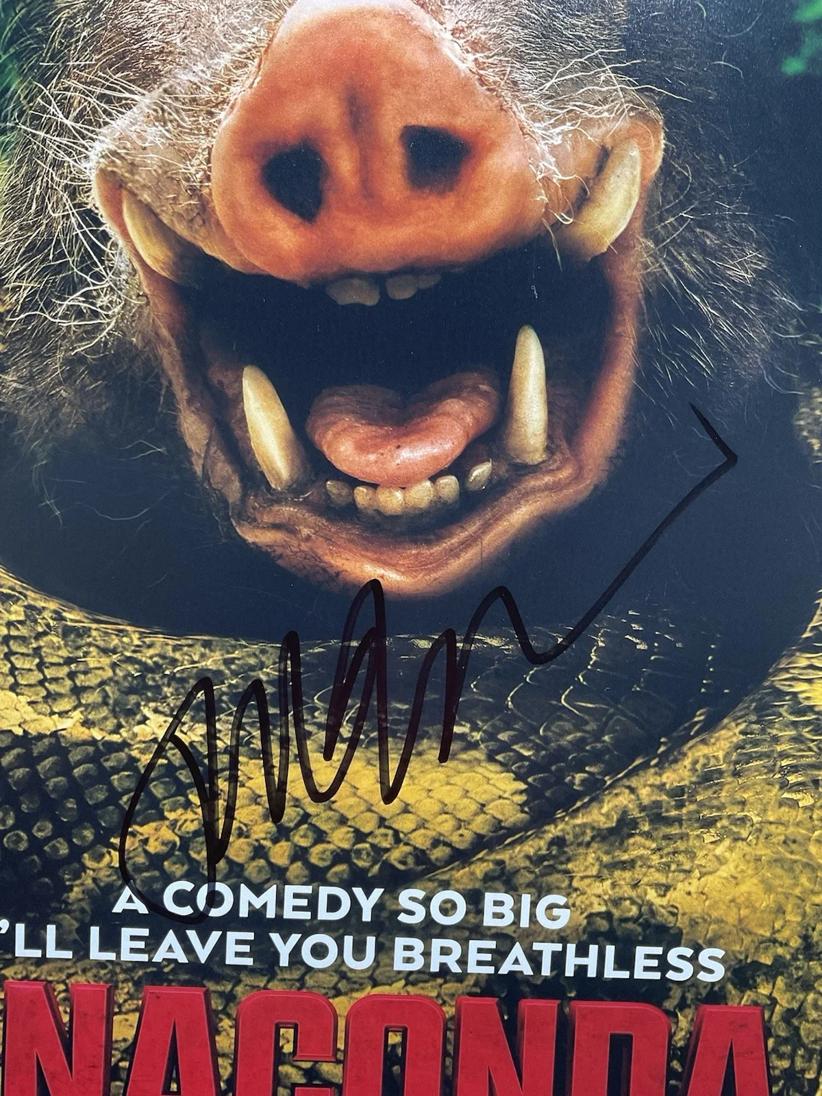 Tom Gormican — Anaconda signed 12x18 SWAU Tom Gormican signed photo Director autographed photo, изображение 2