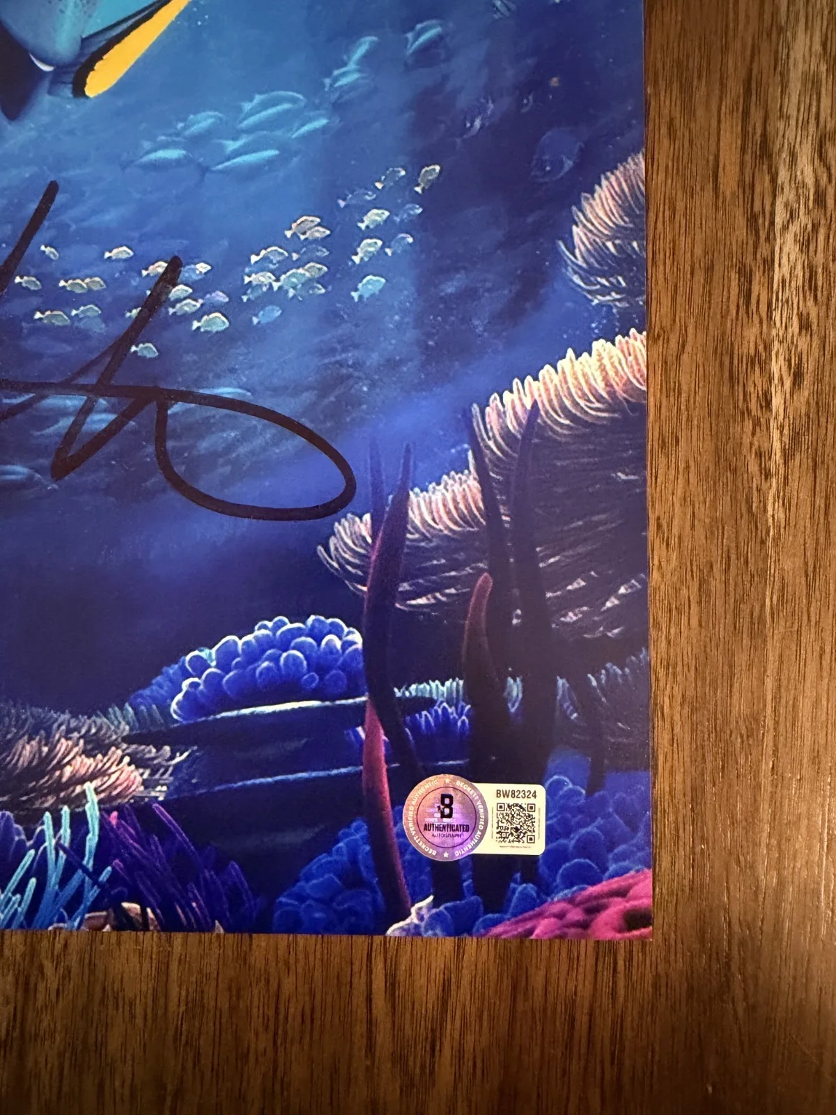Andrew Stanton ‘Finding Dory’ Movie Director Signed 12x18 Photo Beckett, изображение 2