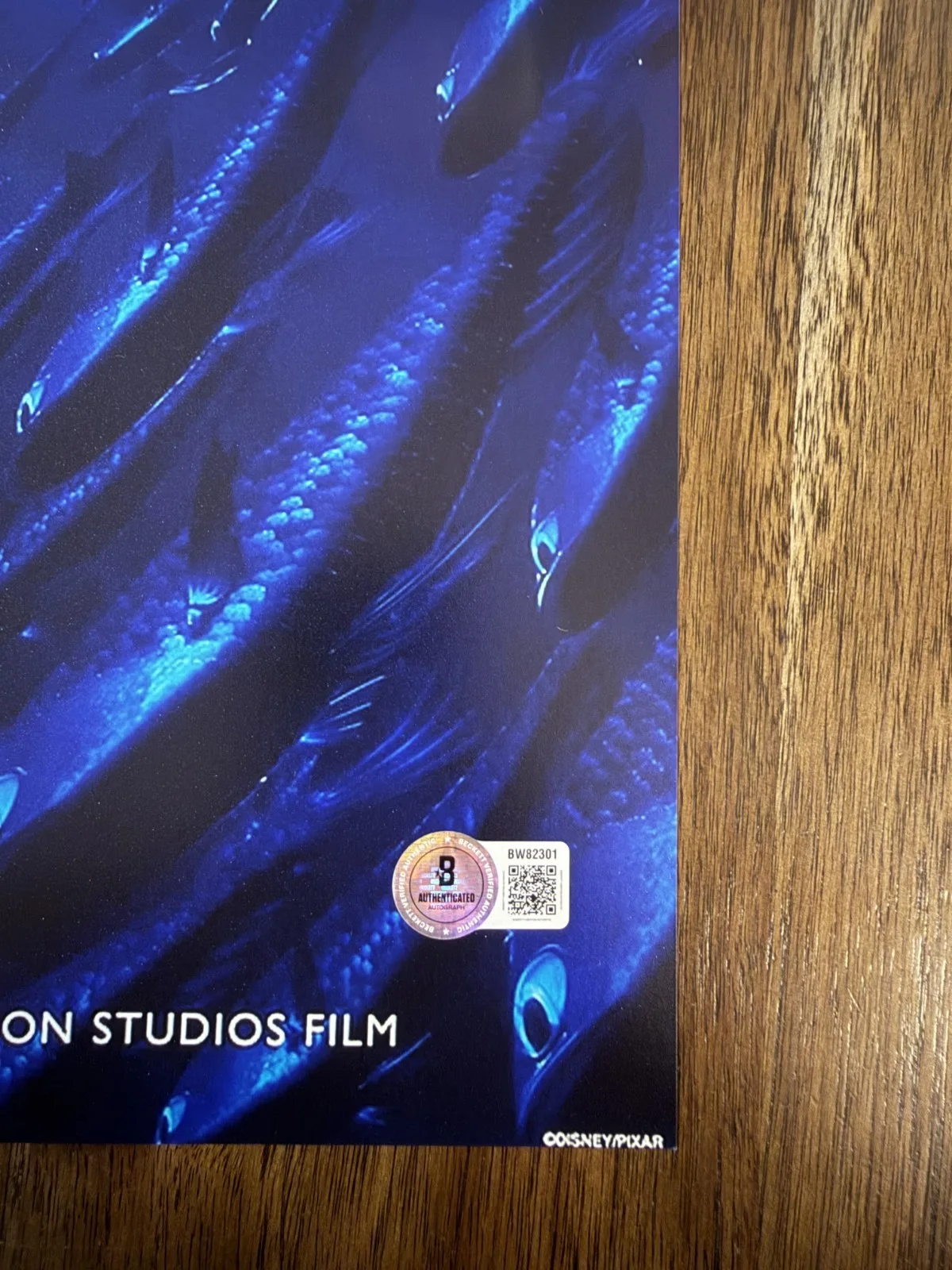 Andrew Stanton ‘Finding Nemo’ Movie Director Signed 12x18 Photo Beckett, изображение 2
