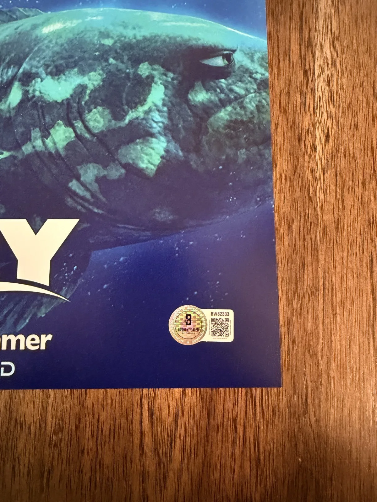 Andrew Stanton ‘Finding Dory’ Movie Director Signed 12x18 Photo Beckett, изображение 2