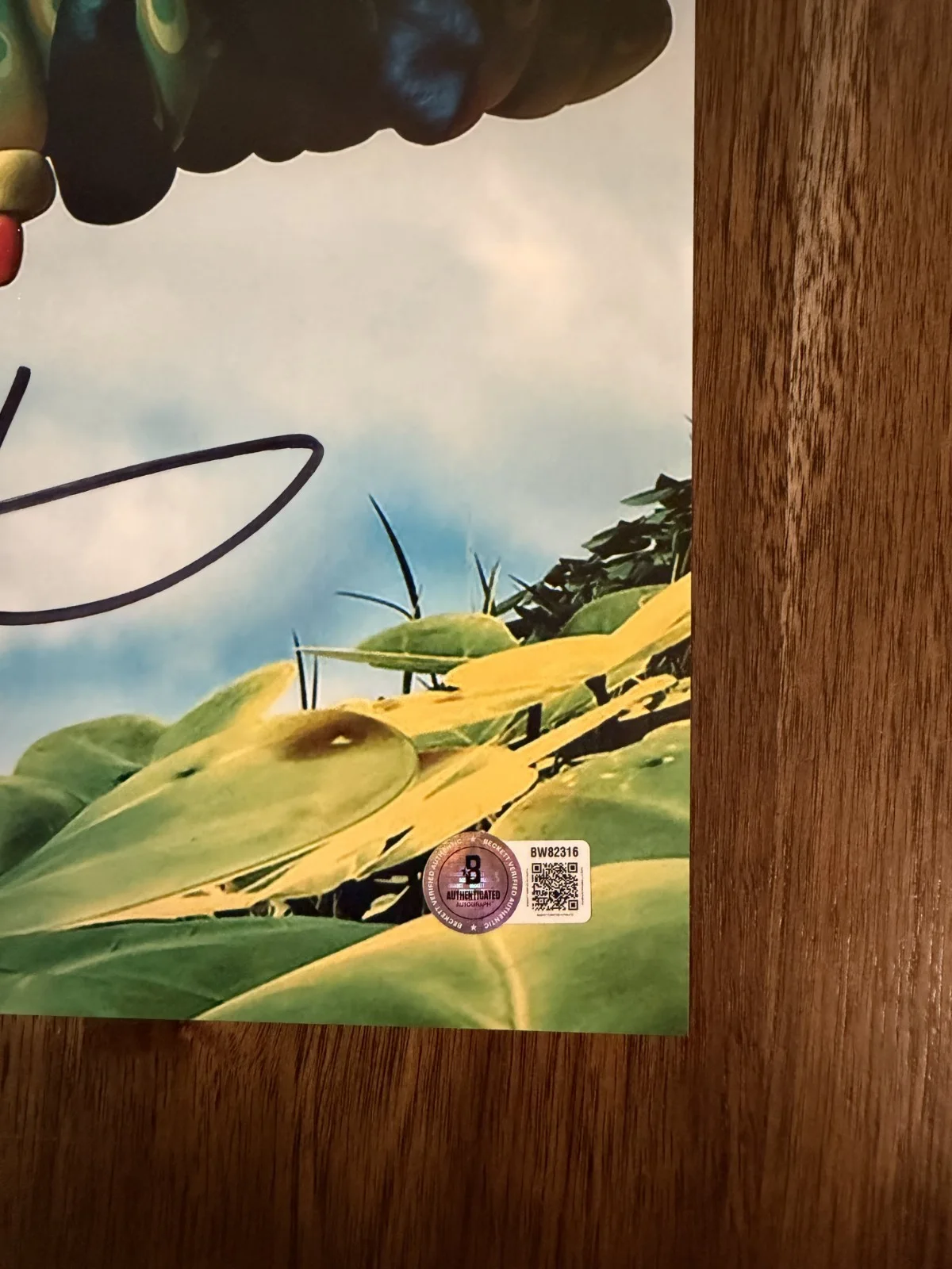 Andrew Stanton ‘A Bug's Life’ Movie Director Signed 12x18 Photo Beckett, изображение 2