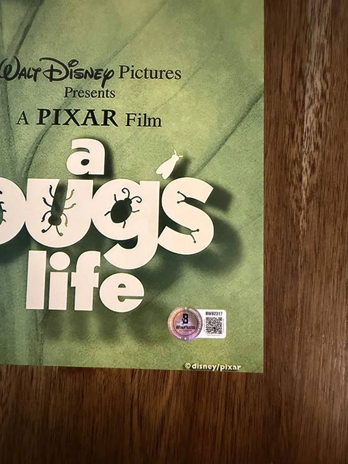 Andrew Stanton ‘A Bug's Life’ Movie Director Signed 12x18 Photo Beckett, изображение 2