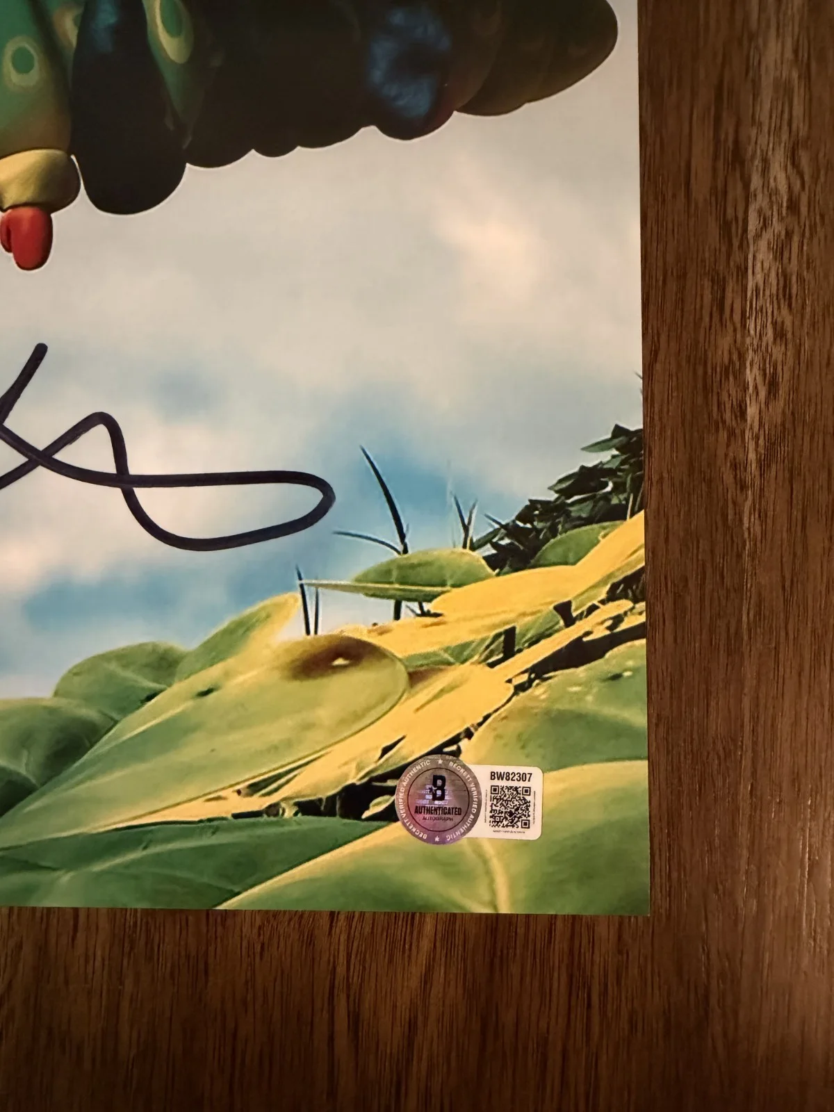 Andrew Stanton ‘A Bug's Life’ Movie Director Signed 12x18 Photo Beckett, изображение 2