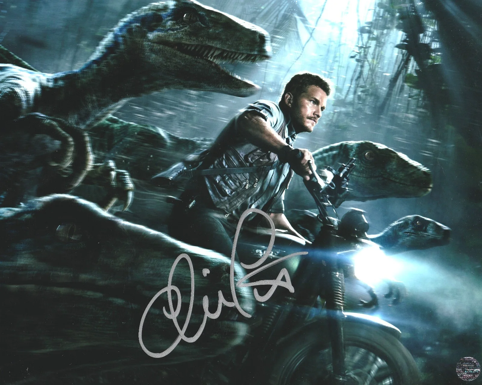 Chris Pratt — Chris Pratt Signed Autographed Jurassic Park 8x10 Photo COA/Matching Hologram