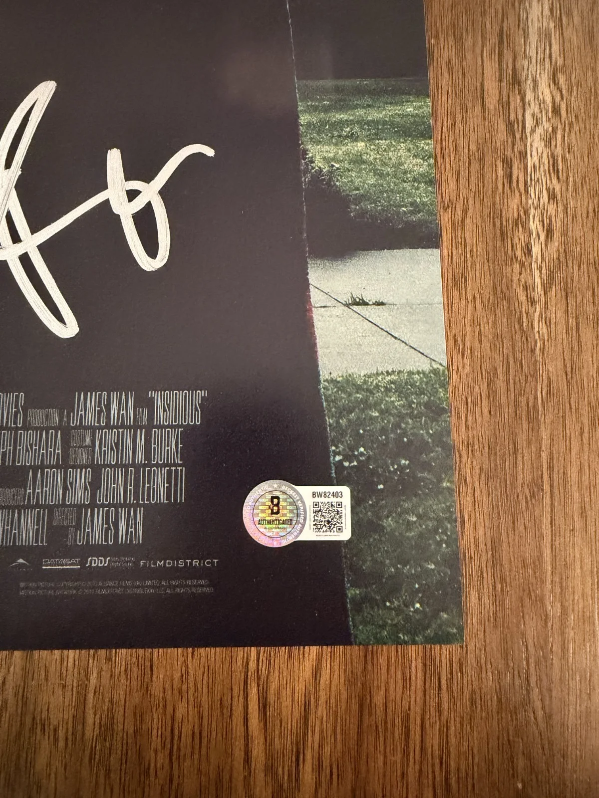 Rose Byrne ‘Insidious' Signed 12x18 Photo 'Renai Lambert' Beckett, изображение 2