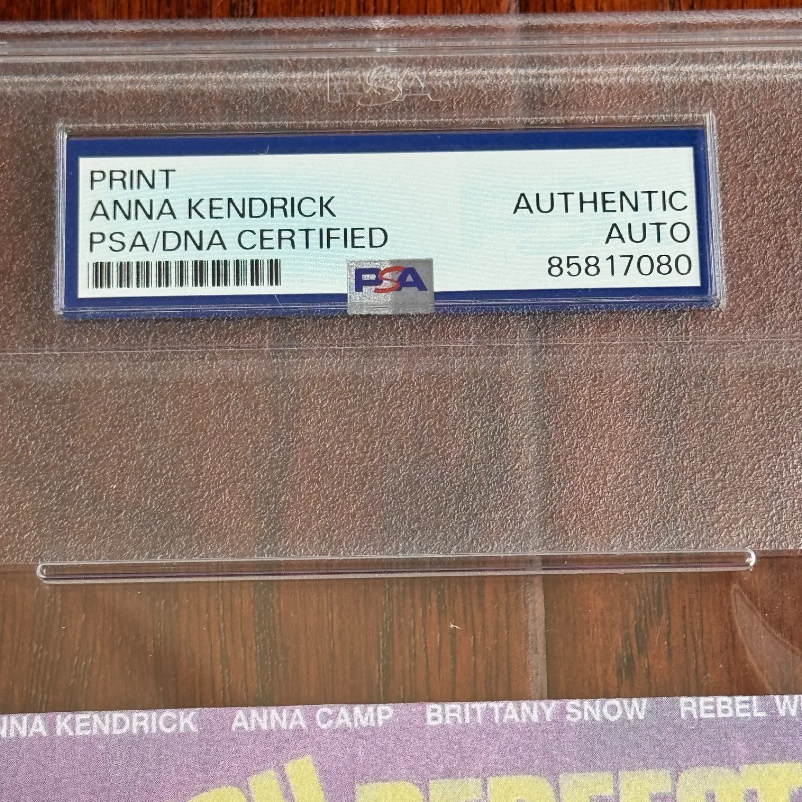 ANNA KENDRICK Autograph PITCH PERFECT Souvenir Movie Print Signed * PSA, image 3
