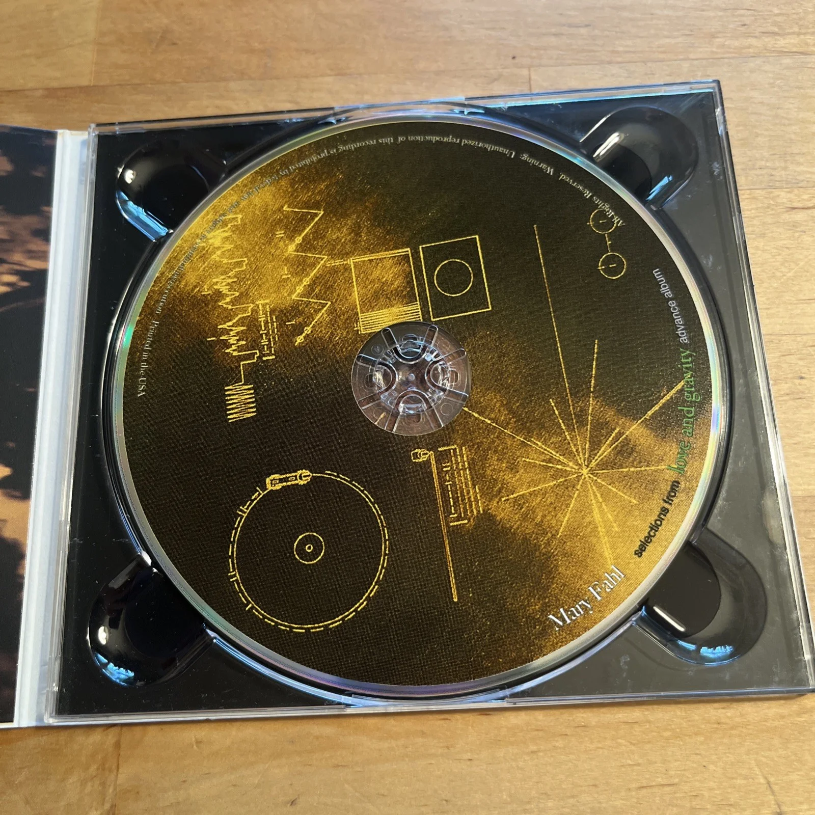 Mary Fahl SIGNED Autographed Love And Gravity Music CD Album RARE OOP, изображение 3