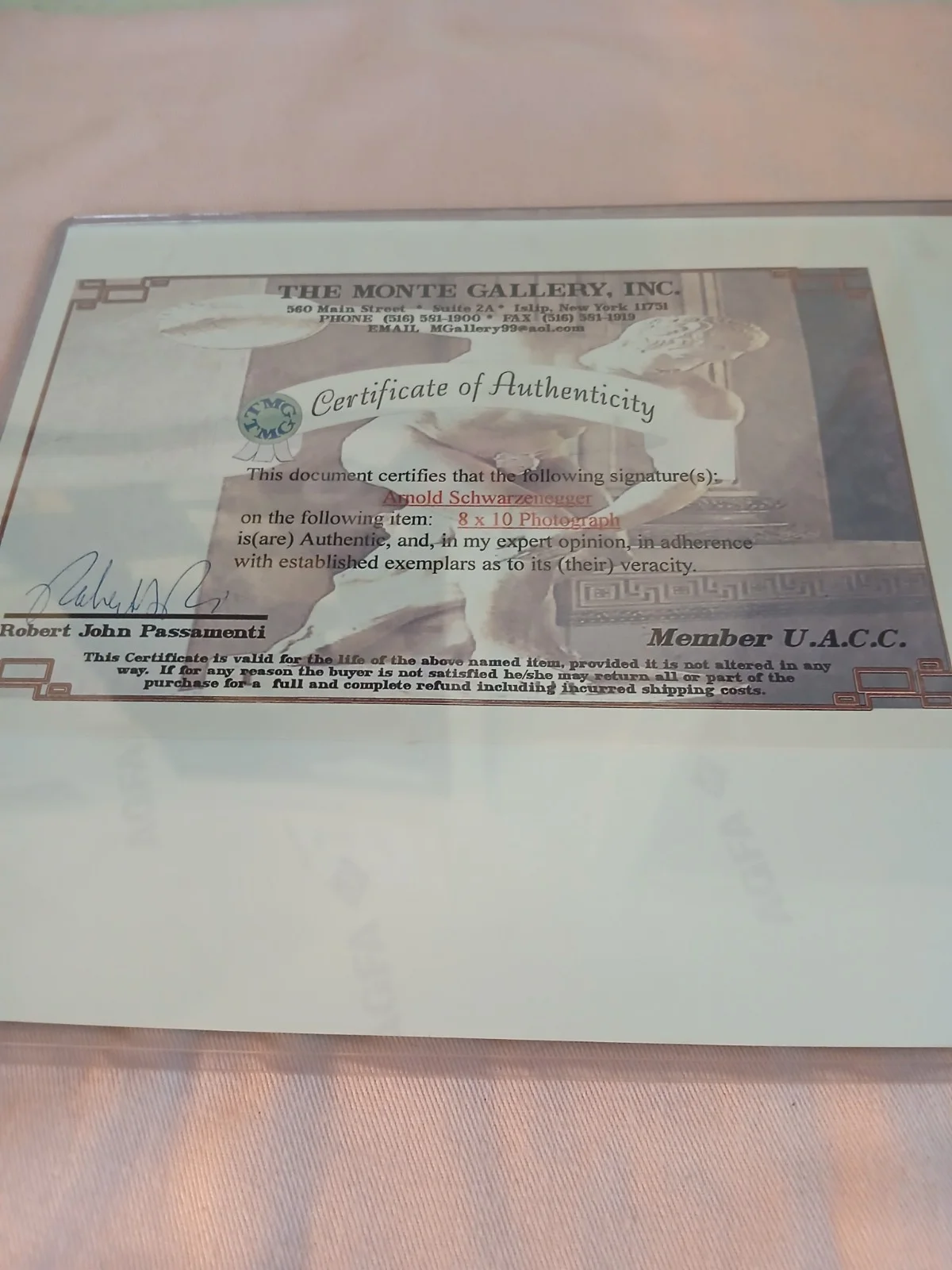Signed Arnold Swartzenegger Photo, image 4