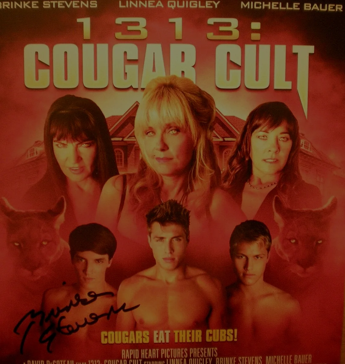Brinke Stevens — BRINKE STEVENS HAND SIGNED PHOTO 8.5 X 11 COUGAR CULT - THEY EAT THEIR CUBS', изображение 4
