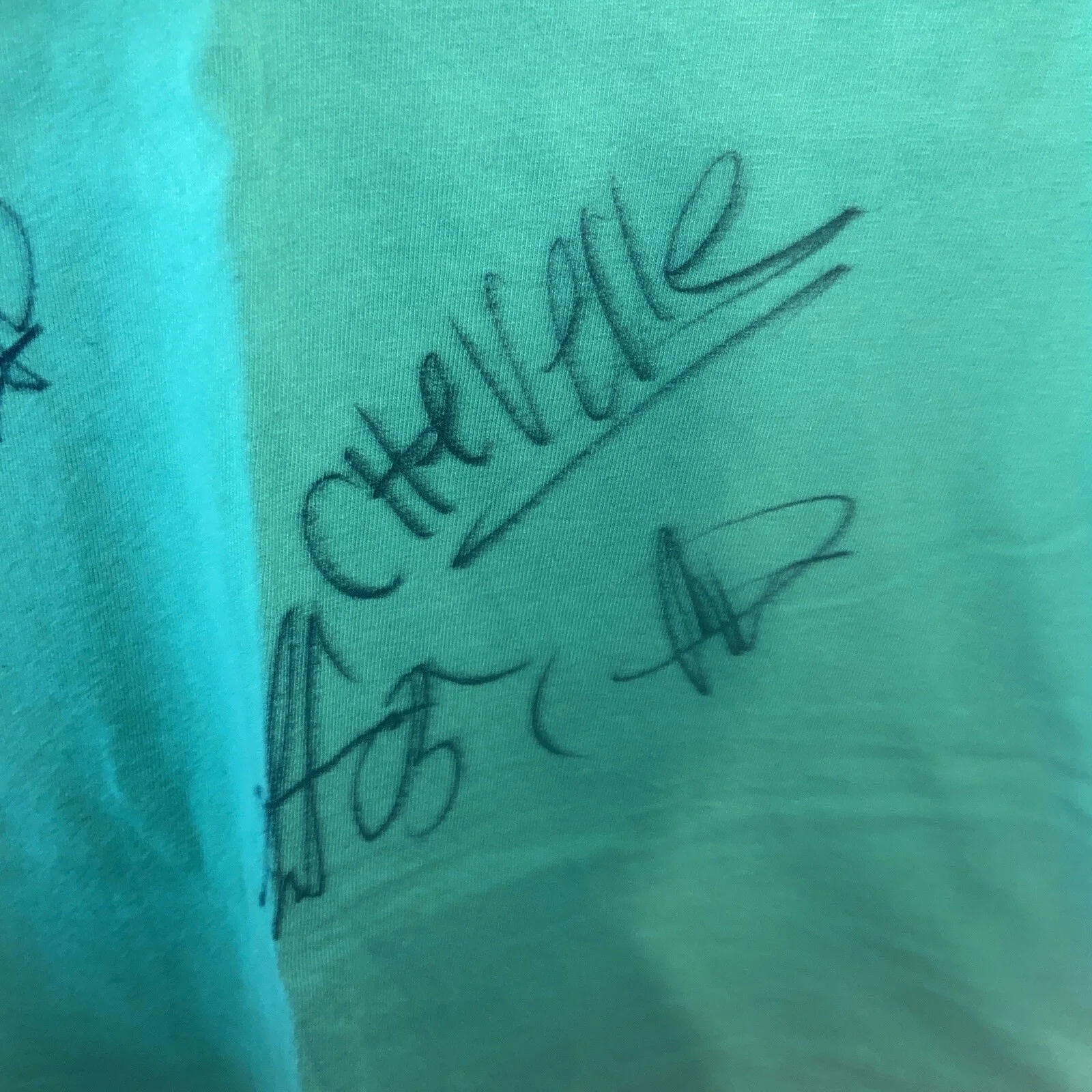 Chevelle band signed autographed t shirt 2005, image 3