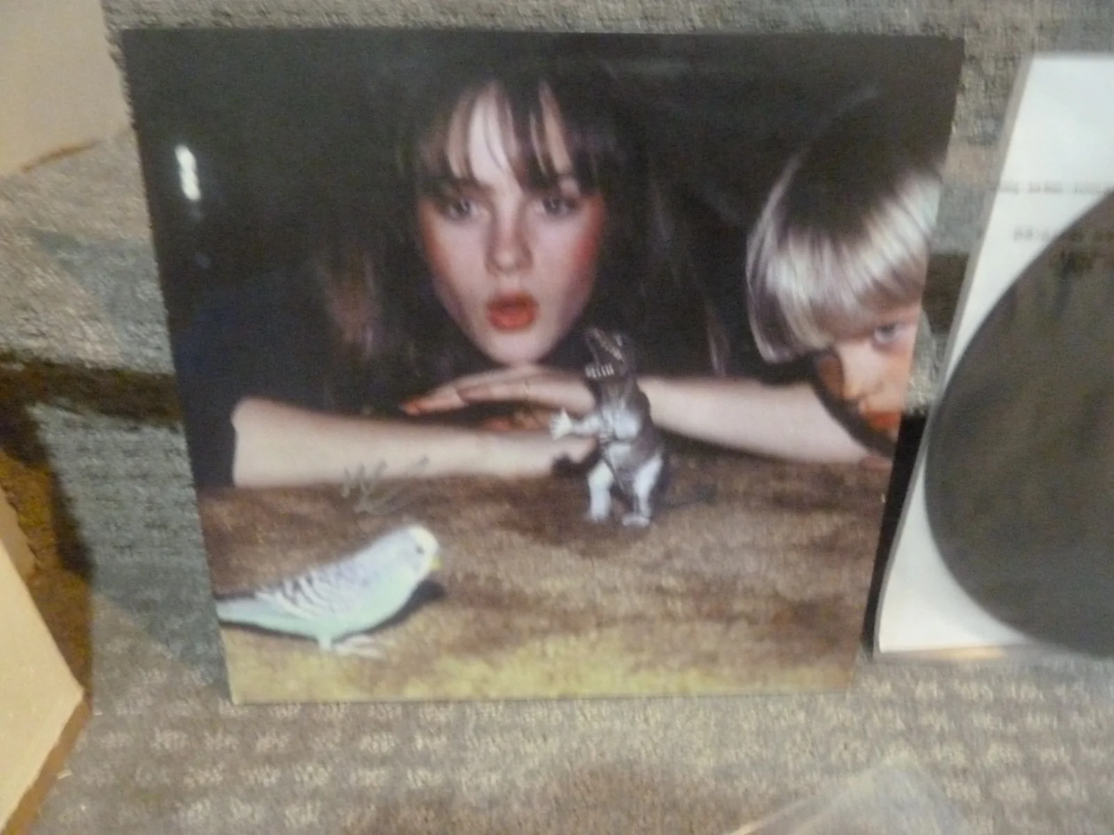 Big Thief Masterpiece LP vinyl record SIGNED AUTOGRAPHED Adrianne Lenker, image 2
