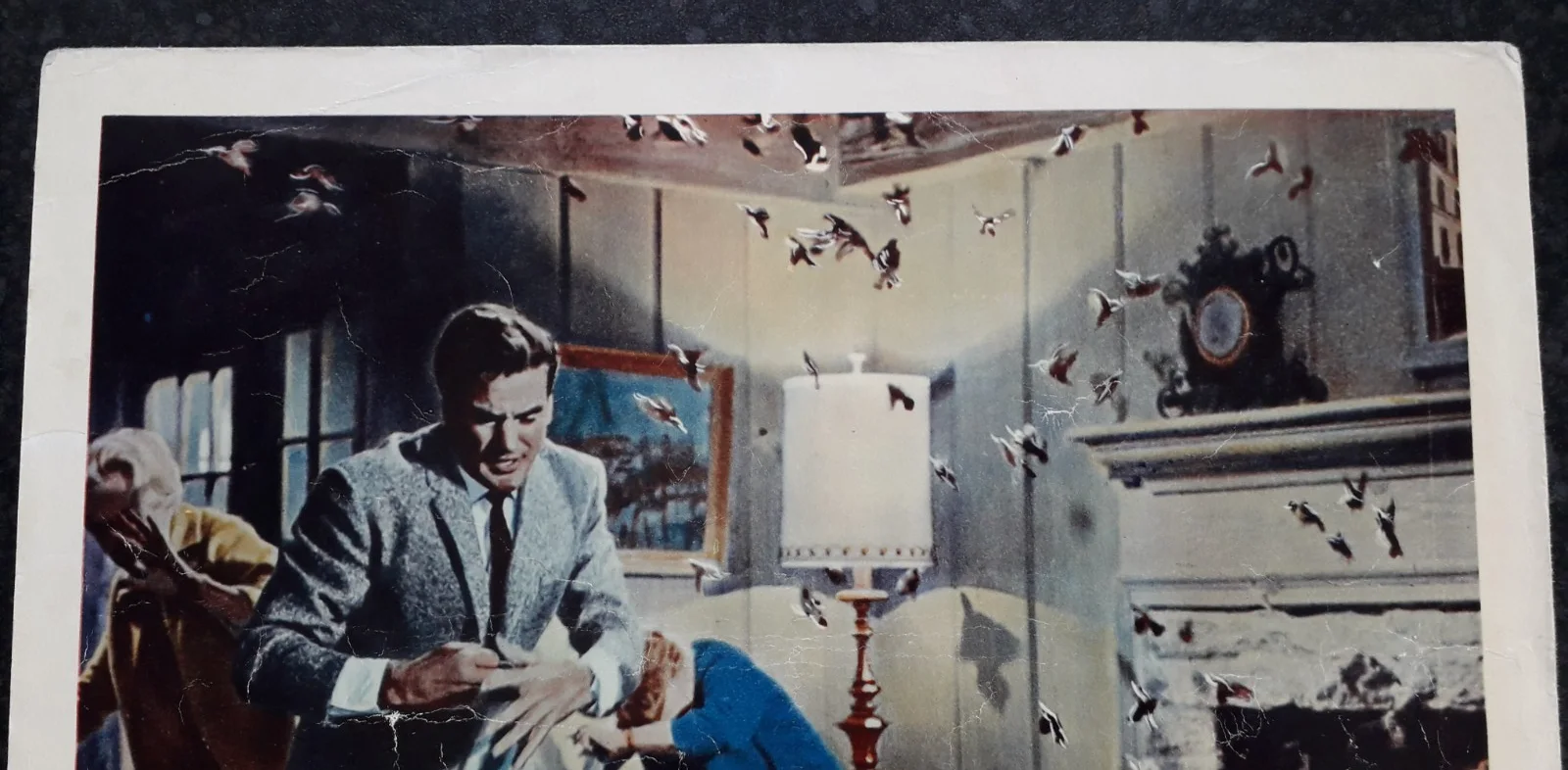 The Birds 1963 ORIGINAL Lobby Card of Hitchcock's Classic, изображение 2