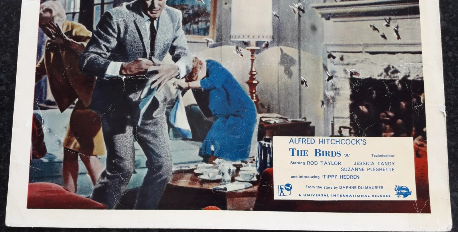 The Birds 1963 ORIGINAL Lobby Card of Hitchcock's Classic, изображение 3
