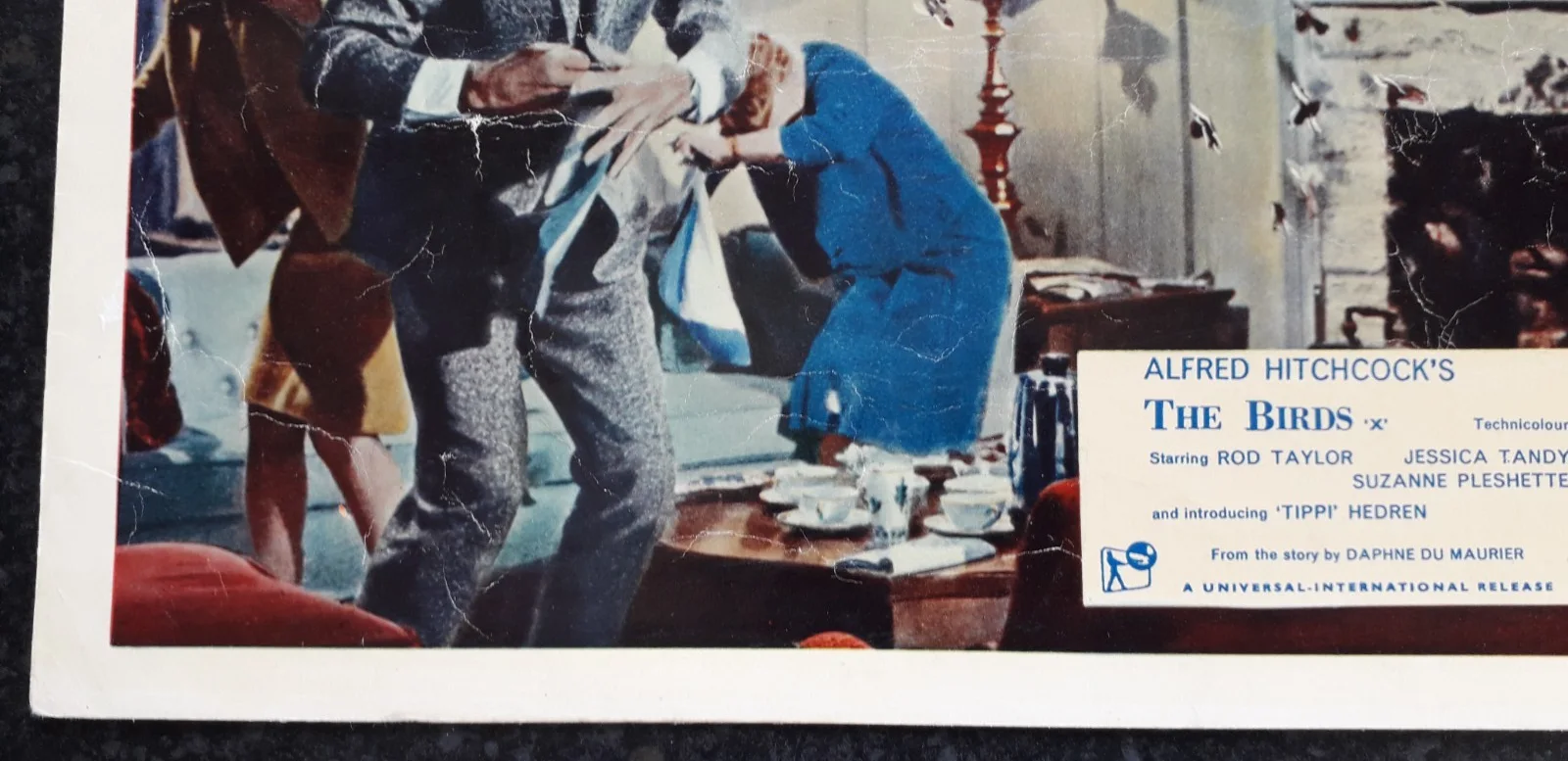 The Birds 1963 ORIGINAL Lobby Card of Hitchcock's Classic, изображение 5
