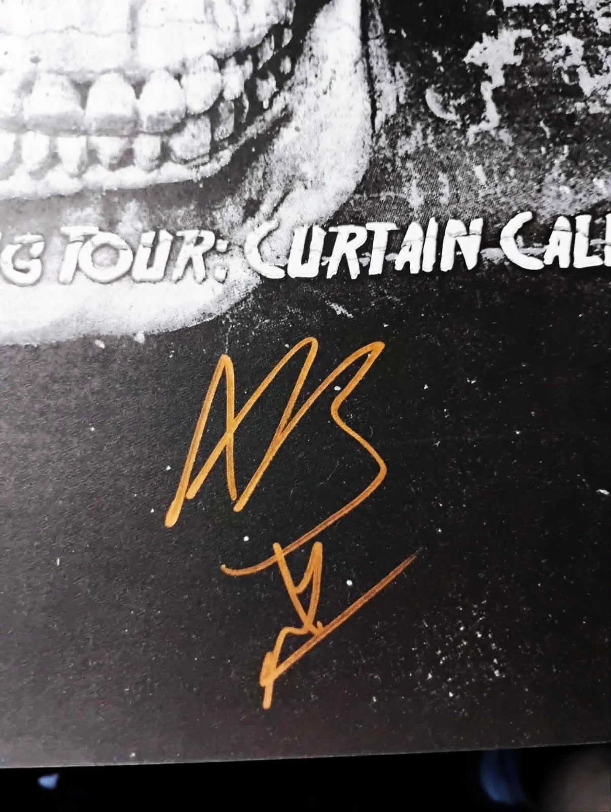 Andy Black (Andy Biersack) Signed Poster The Home Coming Tour :Black Veil Brides, image 2