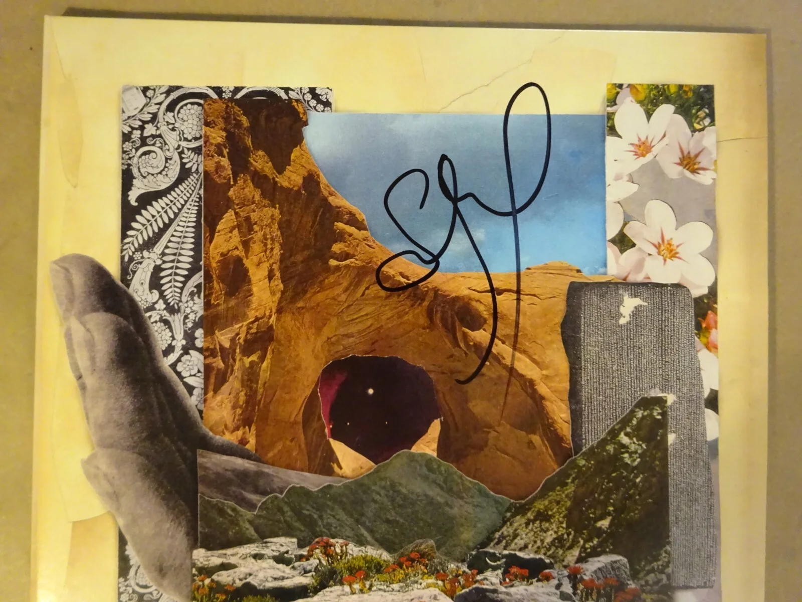 Signed Stefan Lessard Autographed Dave Matthews Band Album BAS COA, image 4