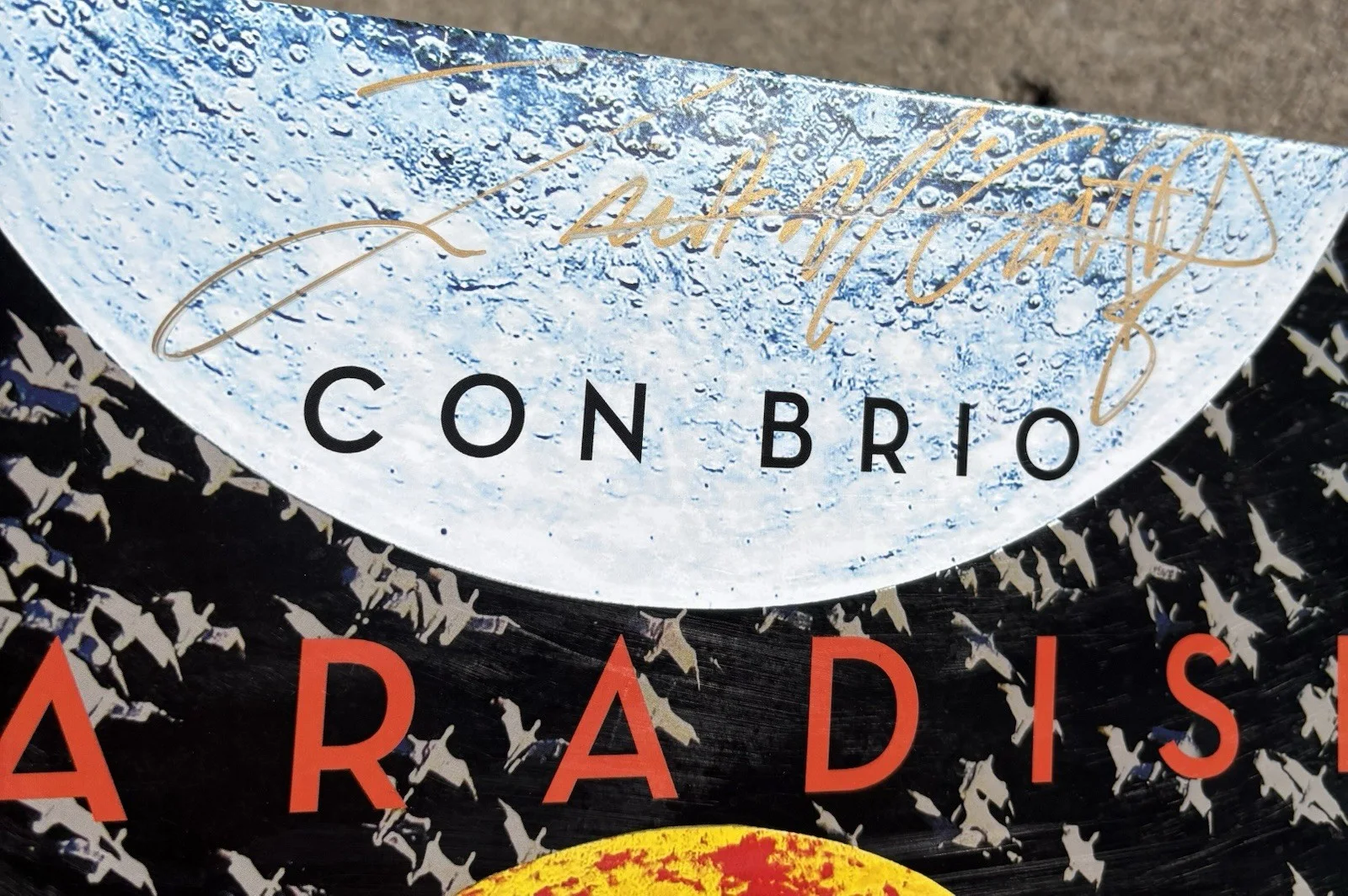 CON BRIO Ziek McCarter SIGNED Vinyl JSA COA Paradise, image 2