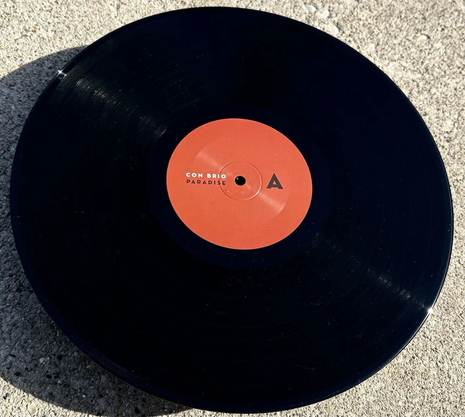 CON BRIO Ziek McCarter SIGNED Vinyl JSA COA Paradise, image 5