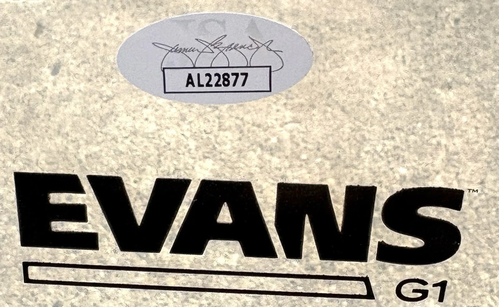 THE KILLERS Ronnie Vannucci SIGNED 12” Drumhead JSA COA, image 3